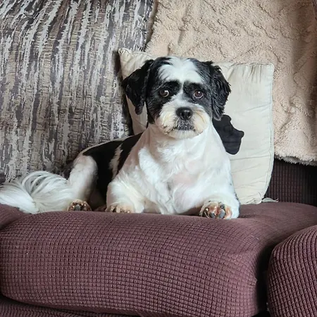 לינה וארוחת בוקר The Front 3*